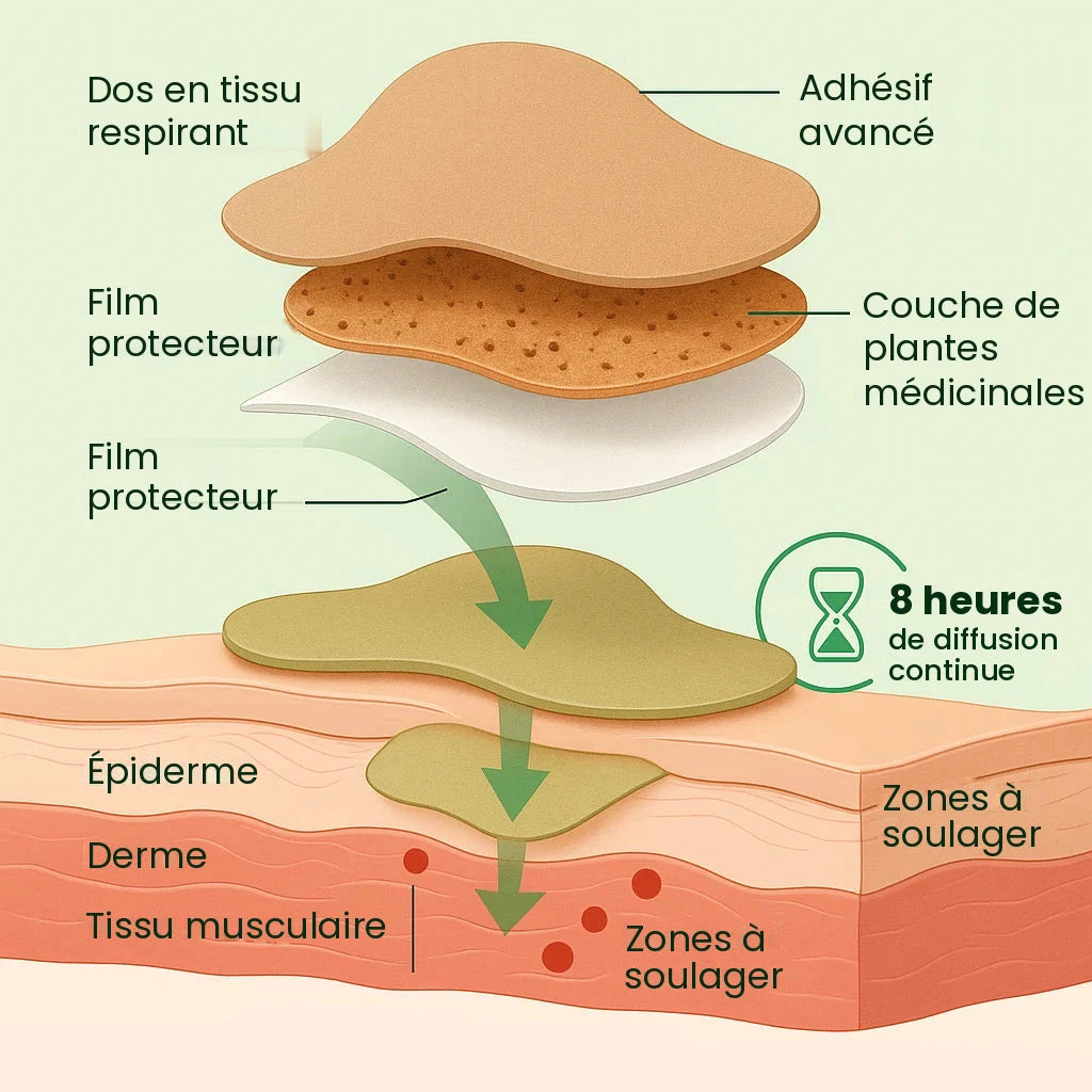 Patchs aux plantes pour la nuque – vue 4